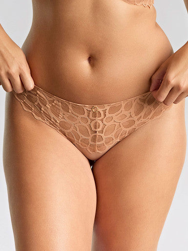 Panache Allure Thong- 10769