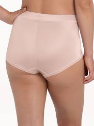ANITA CLAIRE - PANTY- CONTROL BRIEF- ROSEWATER/BLACK- 1333
