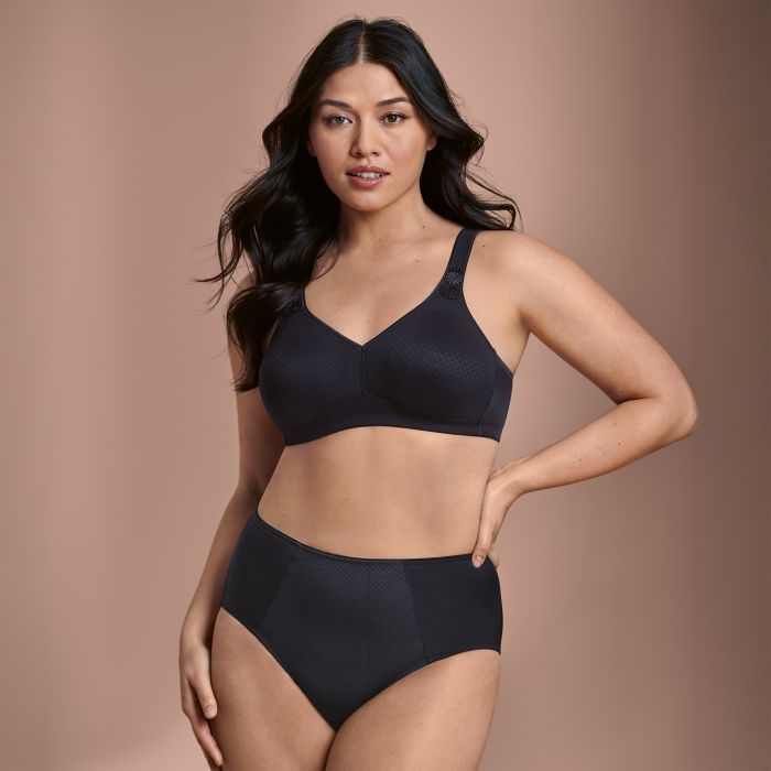Anita Leni High Waist Briefs - 1515