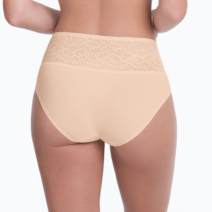 Anita Essential High Waist Brief - 1903