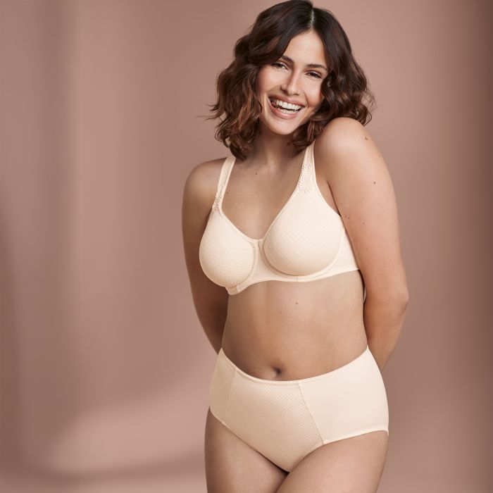 Anita Leni High Waist Briefs - 1515