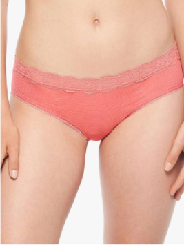 Chantelle Passionata Brooklyn Gardenia Thong P57070