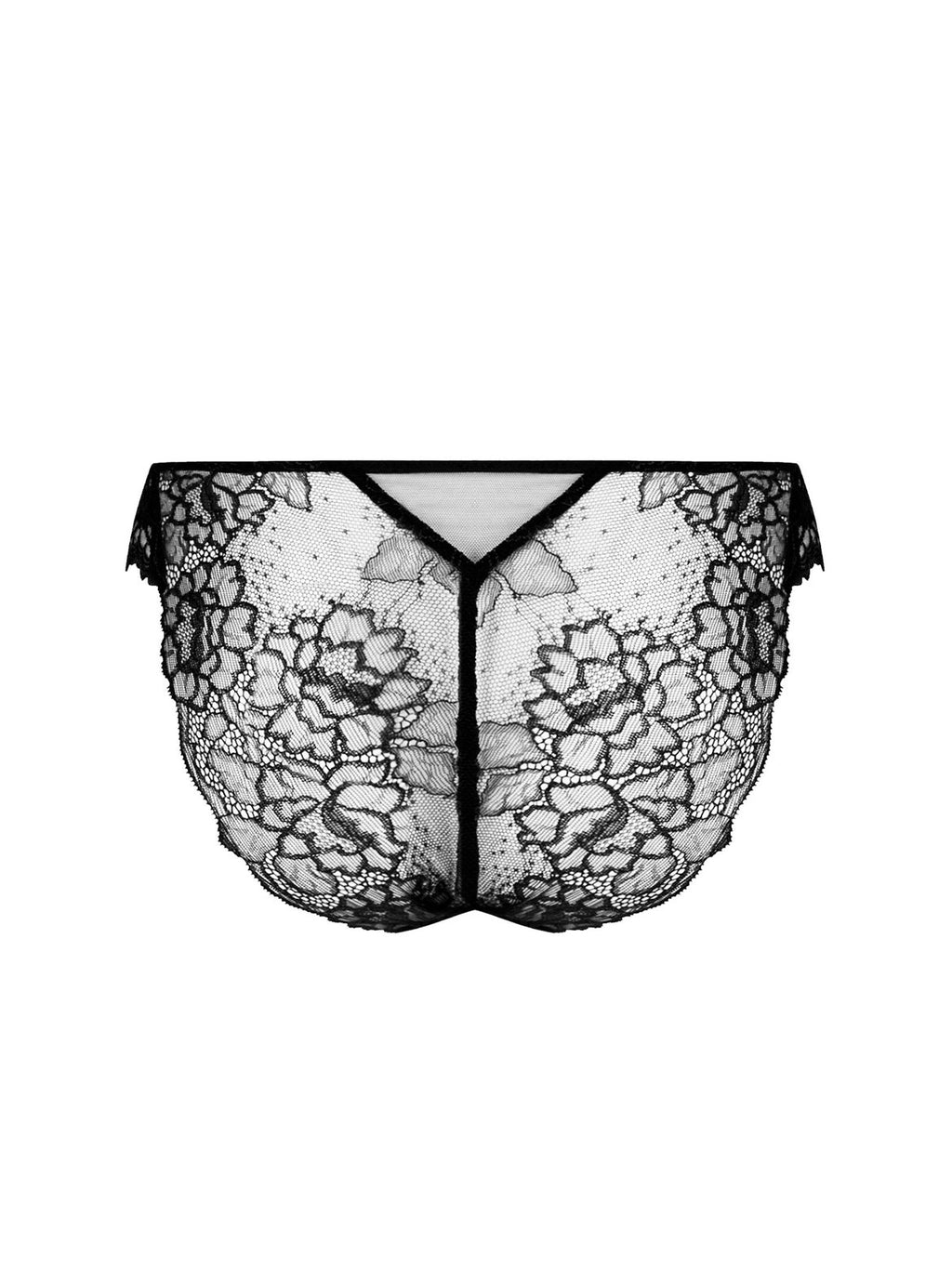 LISE CHARMEL Sublime En Dentelle - Italian Brief - ACH0713