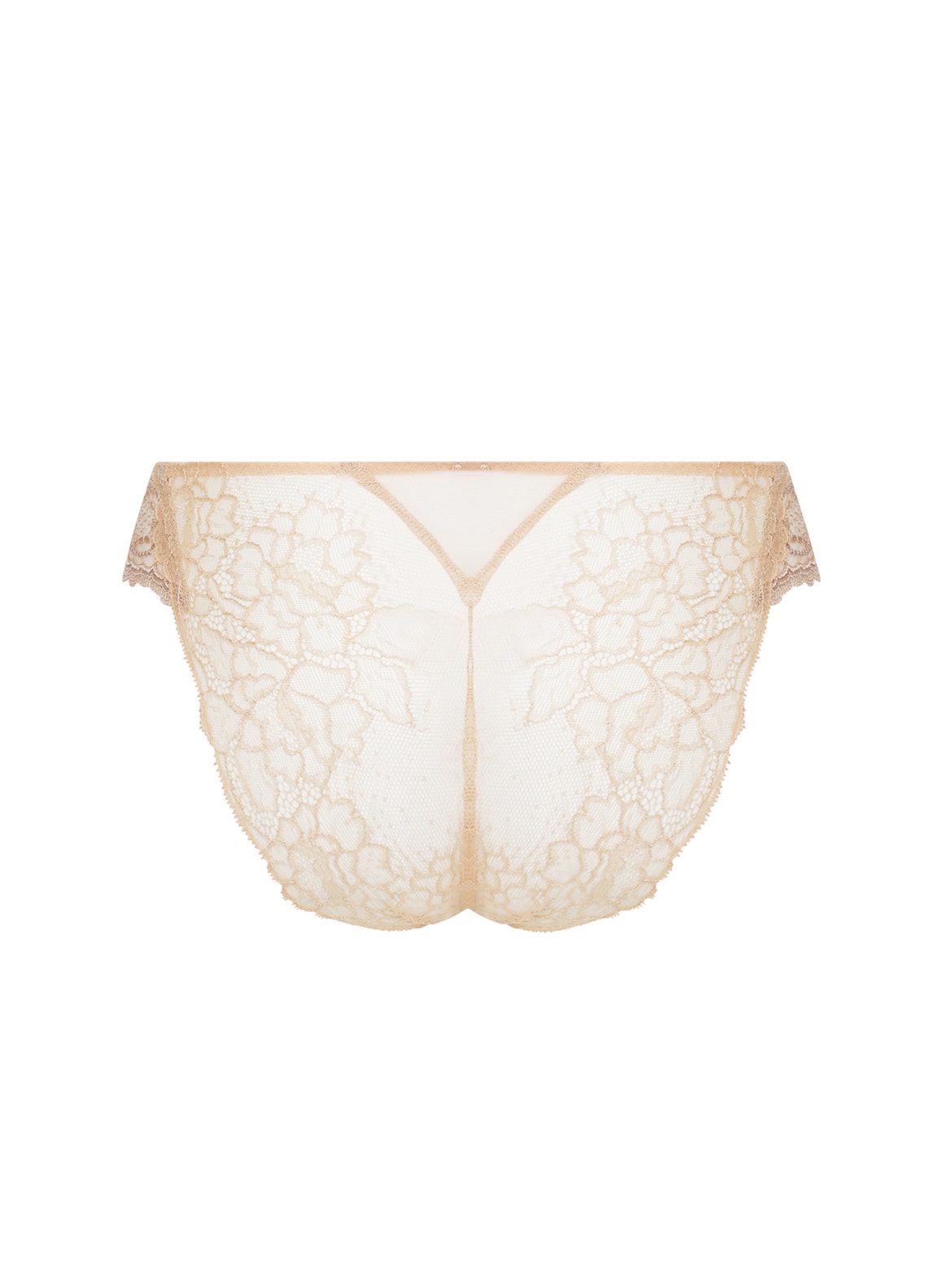 LISE CHARMEL Sublime En Dentelle - Italian Brief - ACH0713