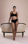 Anita- Sophia High-Waist Briefs+-1309